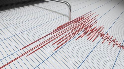 Şeful Institutului pentru Fizica Pământului: Cutremurul din Gorj nu are legătură cu Turcia