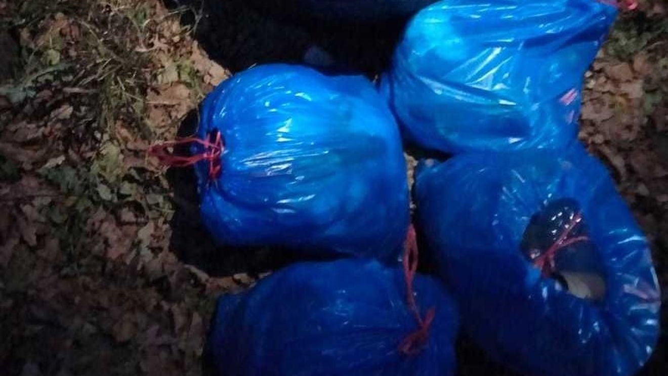 Peste 36 de tone de deşeuri, oprite la intrarea în România prin punctele de frontieră Borş şi Nădlac