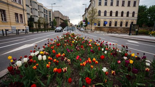 Cluj-Napoca a depășit rata de incidență COVID de 5 la mie / Municipiile Brașov și Oradea au trecut de 3, prag de la care funcționarea fizică a școlilor depinde de gradul de vaccinare al profesorilor