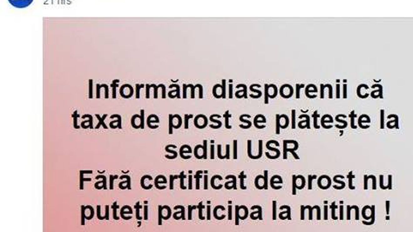 Europarlamentarul Maria Grapini îi jignește pe ”diasporeni”: Fără certificat de prost nu poți participa la miting