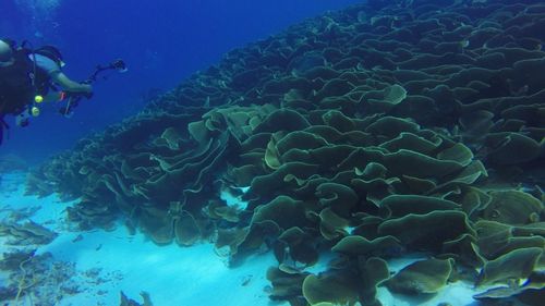 Un bărbat de origine britanică şi o femeie de origine franceză, dispăruţi în timpul scufundărilor în Malaysia, au fost salvaţi după două zile