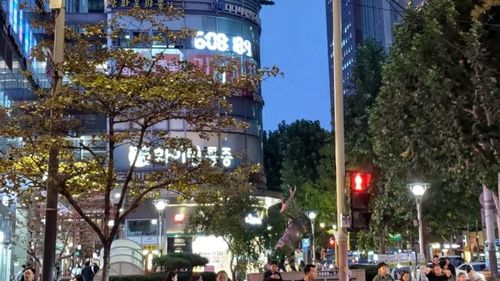 Coreea de Sud declară război singurătății