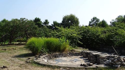 Proiectul prin care teatrul de vară din Parcul Herăstrău va trece la Administrația Domeniului Public al Municipiului București, votat la propunerea primarului general al Capitalei