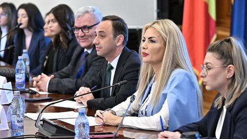 Proiect de lege inițiat de Laura Vicol (PSD) și Cristina Trăilă (PNL): Subvenţia alocată partidelor, diminuată dacă 30% dintre aleşi locali, respectiv parlamentari, nu sunt femei