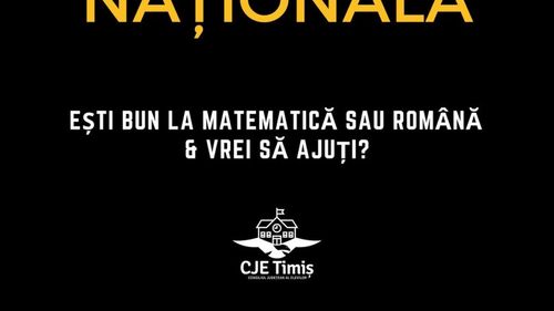 Liceeni care meditează gratuit la Matematică și Română alți copii, pentru Evaluarea Națională de la clasa a VIII-a – Proiect lansat de Consiliul Elevilor Timiș