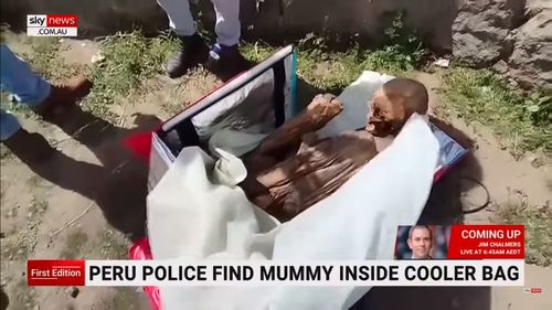 VIDEO "Prietena spirituală": Un bărbat din Peru a fost prins cărând o mumie veche de 600 de ani în geanta de curier