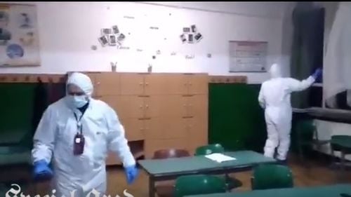 Doar 7 din 78 de primării din județul Alba sunt la zi cu procedurile de dezinsecţie şi deratizare