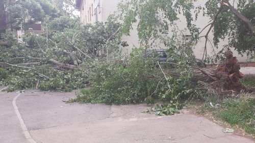 Avertizare cod galben de vânt puternic în București timp de o oră