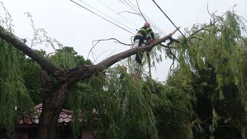 Efectele furtunii în  Capitală: copaci căzuți pe carosabil, stâlpi doborâți / Nu au fost raportate victime