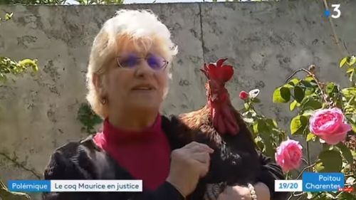 Cocoșul Maurice și-a câștigat dreptul de a cânta nestingherit. Final în procesul care simbolizează conflictul dintre Franța urbană și cea rurală