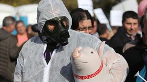 Europa de Est înregistrează o creştere accentuată a focarelor de pestă porcină / Izbucnirea în România a bolii extrem de contagioase este "un amestec nefericit de politică, dezorganizare și ineficiență"