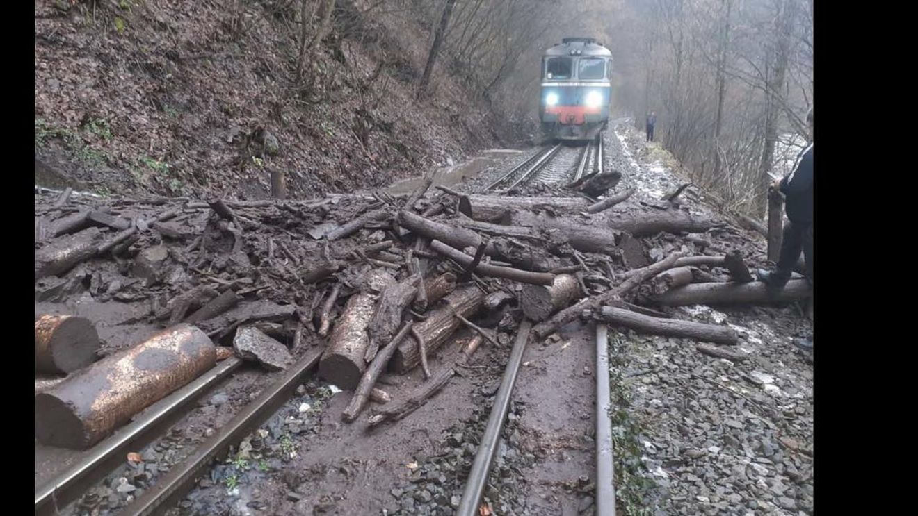 Trafic feroviar oprit pe Valea Jiului după ce mai mulți copaci au căzut pe calea ferată, între Petroșani și Crivadia