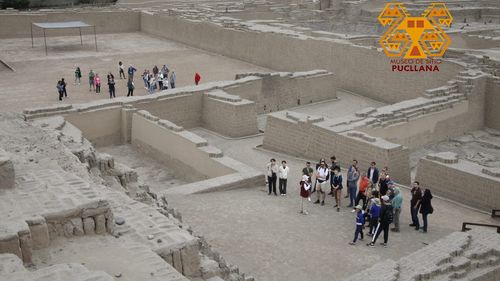 O sculptură rară, care reprezintă broaşte şi are o vechime de 3.800 de ani, descoperită în Peru