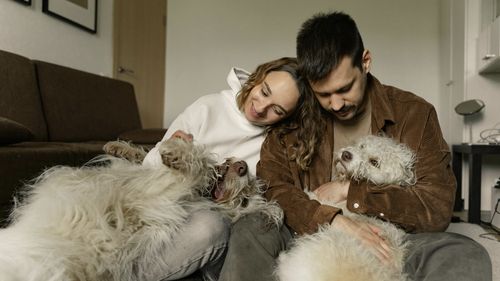 Unul din trei proprietari de animale de companie crede că Mercur retrograd influențează modul în care se comportă animalele lor de companie / Cum poate fi depășit acest moment