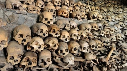 Os de "Hobbit" provenit de la o specie minusculă de oameni antici, găsit pe o insulă indoneziană