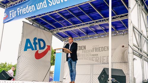 Cum îi cucerește pe tineri extrema dreaptă din Germania: O piesă de dans și un joc video online care promovează deportările în masă sunt câteva dintre modalități