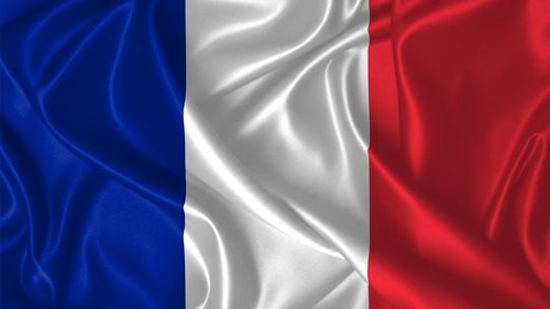 12 candidaturi au intrat în cursa alegerilor prezidențiale din Franța, după validarea de către Consiliul Constituțional