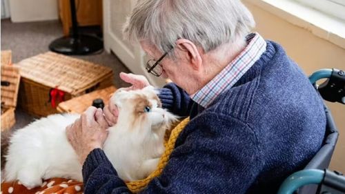 Animalele de companie robotizate schimbă radical viața pacienților cu demență din toată lumea. Roboții torc, latră și aduc alinare / Nu fac mizerie și nu se rătăcesc