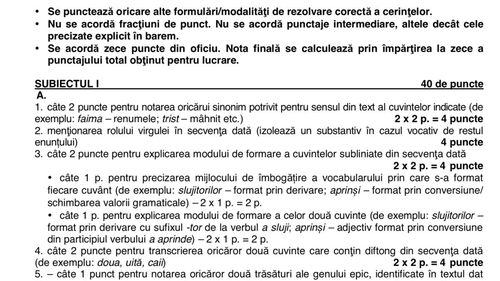 Baremul de corectare pentru clasa a VII-a: răspunsurile corecte la subiectele de la simularea la Limba și literatura română