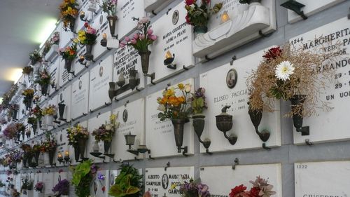 Cimitirul din Oradea va găzdui de anul viitor peste 300 de nișe destinate urnelor funerare / ”Suprafața pentru locuri de veci clasice se reduce considerabil, într-o perioadă în care numărul înmormântărilor este tot mai mare”