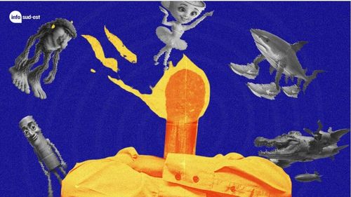 Brainrot: Cum social media, mai ales TikTok, ne ”putrezește” mintea / Diferențele dintre brainrot și burnout, explicate de specialiști