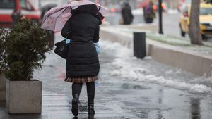 București-Ilfov: Zeci de intervenții ale pompierilor în ultimele 24 de ore,  din cauza vremii / Au fost îndepărtați zeci de copaci care au căzut pe șosele