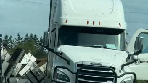 Milioane de albine au scăpat după ce un camion cu stupi s-a răsturnat în SUA