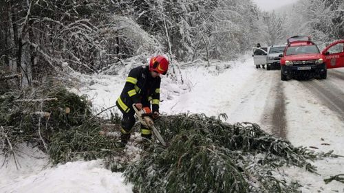 Pompierii din Arad intervin după ce vijelia a rupt copaci/ De pe unele clădiri se desprind elemente