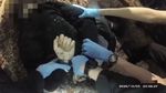 VIDEO | Asasinarea lui Henry Nowak. Crima care a inflamat tensiunile rasiale din UK și a pus polițiștii britanici la stâlpul infamiei