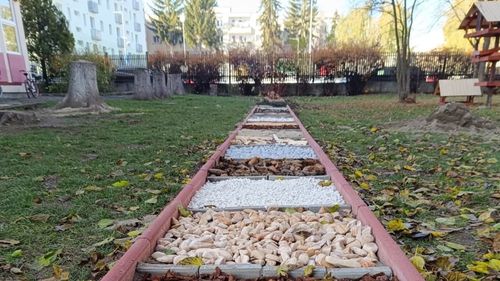 O școală din Sfântu Gheorghe are primul parc pentru mers desculț din judeţ, o raritate și în țară / Directorul școlii: ”Odată ce te-ai obișnuit cu senzația, vă garantez că nu o să simți frigul la picioare după câteva ture”