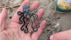 Căutarea de piese lego pierdute în mare: A început ca un hobby, a ajuns o misiune și o inițiativă de conștientizare privind poluarea cu plastic