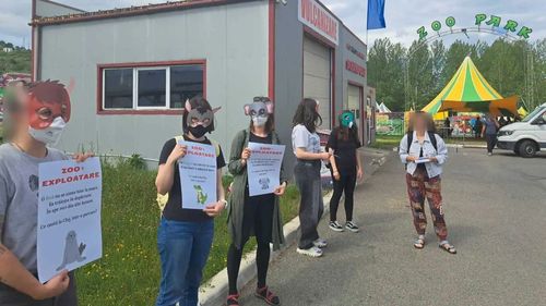 Protest pentru drepturile animalelor la Cluj / Activiștii reclamă condițiile în care sunt ținute animalele de la Zoo Park / „Activitatea seamănă cu cea a unui circ ambulant”