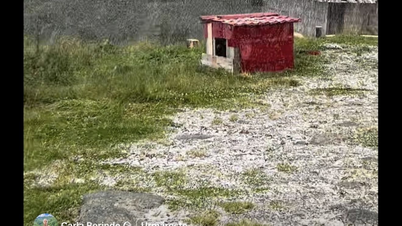 VIDEO A nins în munții Maramureșului / Un salvamontist voluntar a filmat prima zăpadă din acest sezon