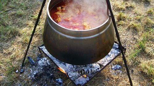 Festivalului Rachiului / RakijaDa începe sâmbătă, lângă Timișoara / Fasole la ceaun, gulaș, muzică și jocuri sătești