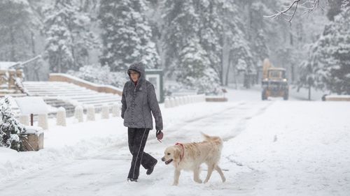 Ninsori moderate şi vânt în cea mai mare parte a ţării / Cod galben de ninsori în 26 de judeţe / Local se va depune strat nou de zăpadă, mai consistent în zonele montane