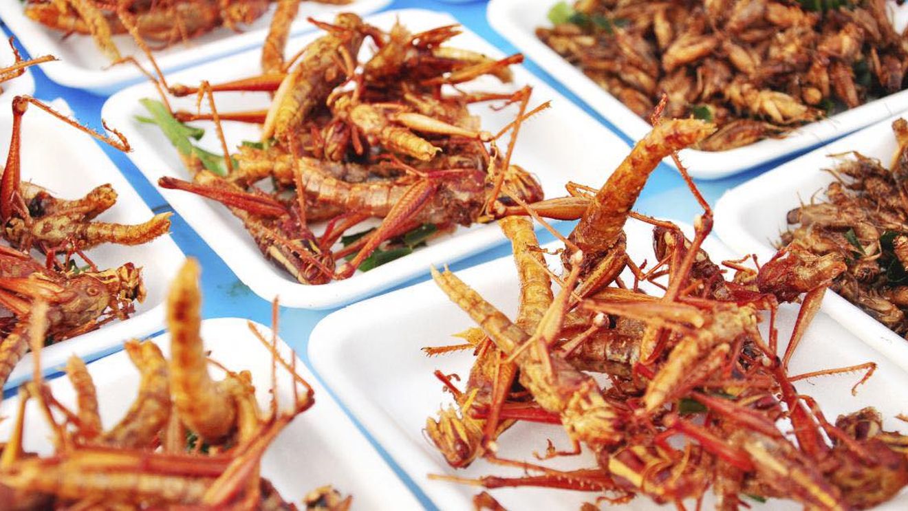Singapore aprobă 16 specii de insecte comestibile pentru vânzare și consum