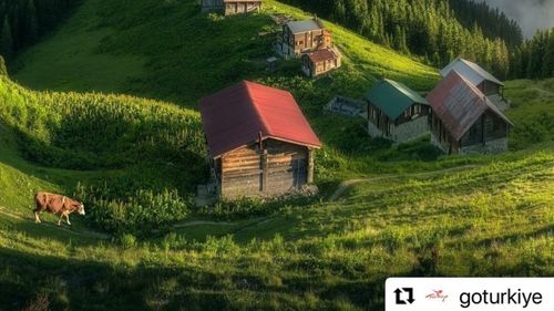 În Turcia, la munte: O stațiune prea puțin cunoscută turiștilor străini, izolată și autentică, ultima modă printre iubitorii de natură