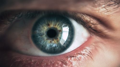 Studiu: Inteligența artificială poate ”citi” în retină predispoziția la anumite boli / Prin scanarea retinei este posibilă identificarea semnelor timpurii ale unora dintre cele mai răspândite boli: diabet, Parkinson, Alzheimer și bolile cardiovasculare