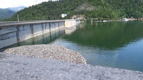 Starea de alertă, instituită în comuna Poiana Teiului din cauza adunării masive de deşeuri şi cadavre de animale pe lacul de acumulare Izvorul Muntelui - Bicaz