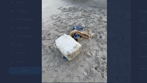 Un pachet cu cocaină în valoare de peste un milion de dolari, găsit de un turist pe o plajă din Florida