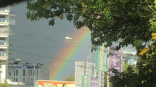 Ce poți face în București, în week-end-ul de 1 Mai /  Promenadă urbană, spectacole ”sub cerul liber”, Retroparada Primăverii și mulți mici