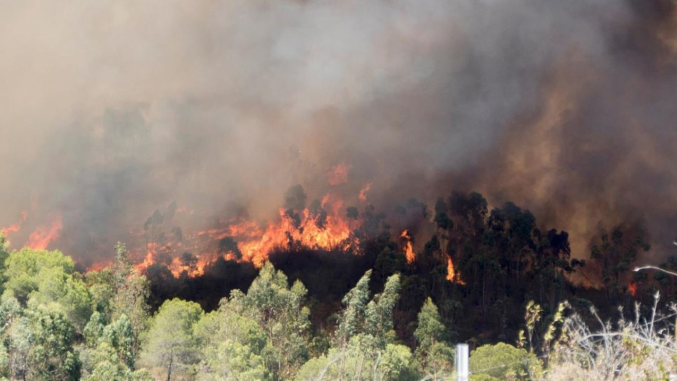 Zeci de incendii de pădure în Albania, afectată de un nou val de căldură / Incendii active în apropiere de stațiunea Saranda