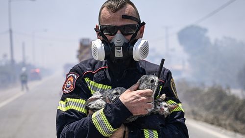 IMAGINEA ZILEI: Un pompier român care participă la stingerea incendiilor din Rodos salvează doi iepuri și o pisicuță / Galerie foto de la intervențiile pompierilor români