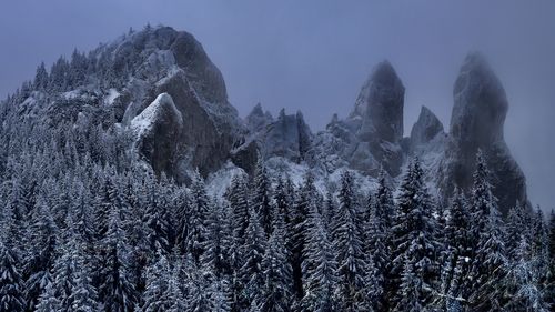 Expoziția Bukovina Blue Project, în pavilionul României la Expo 2025 Osaka