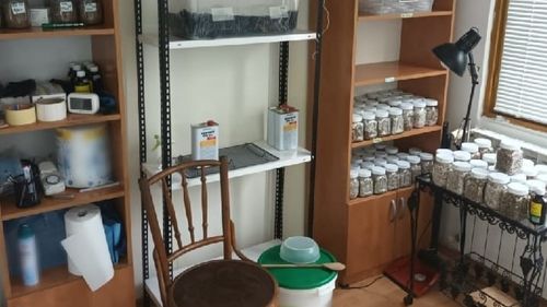 Procurori: Laborator de cultivare și prelucrare de droguri de mare risc descoperit în București și scos din funcțiune / Un bărbat a fost arestat preventiv