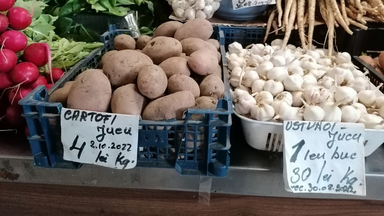În România, numărul cultivatorilor de usturoi înscrişi în programul guvernamental dedicat este la jumătate faţă de ultimii doi ani