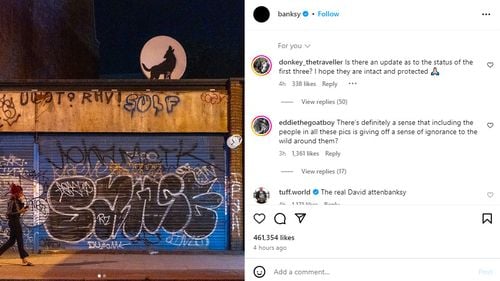 Opera de artă de Banksy denumită "Lupul urlător" a fost furată