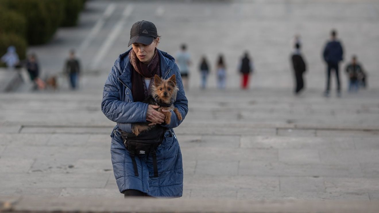 Pericolele la care sunt expuse animalele în perioada sărbătorilor / Câteva sfaturi pentru a le menţine în siguranţă