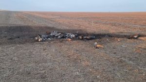 Bucățile de dronă căzute în Moldova conțineau 50 de kg de explozibil / Încărcătura a fost detonată controlat