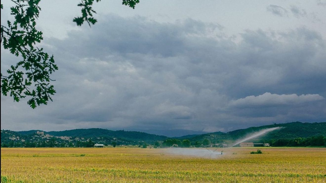 Ministrul Agriculturii: "Sunt convins că trebuie să avem un proiect de ţară privind strategia de gestionare a apei şi că acest lucru se poate finanţa şi prin PNRR"